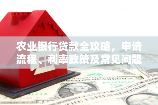 常宁农业银行贷款全攻略，申请流程、利率政策及常见问题解析