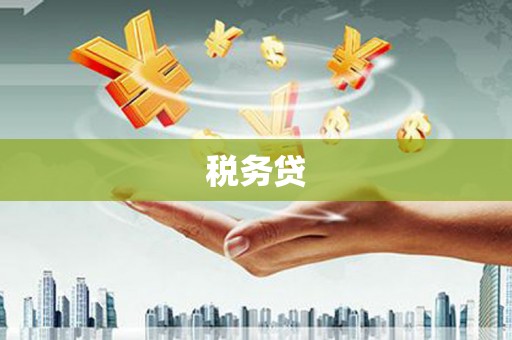 常宁税务贷