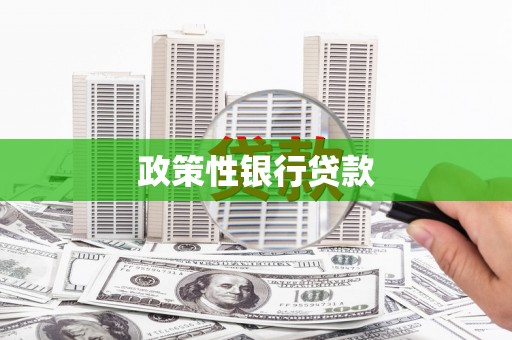 常宁政策性银行贷款