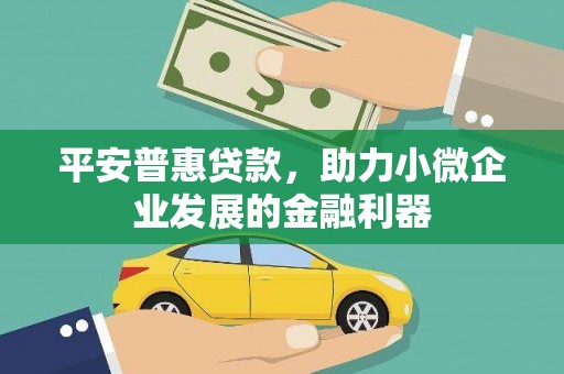 常宁平安普惠贷款，助力小微企业发展的金融利器
