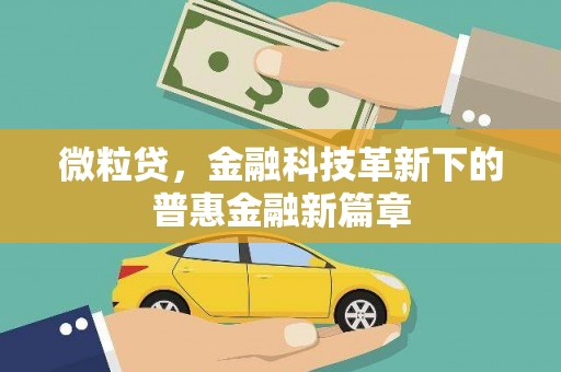 常宁微粒贷，金融科技革新下的普惠金融新篇章