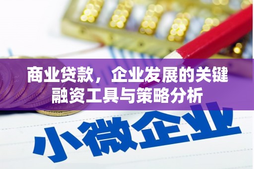常宁商业贷款，企业发展的关键融资工具与策略分析