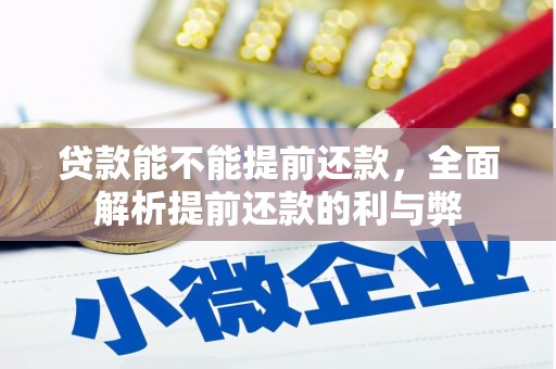 常宁贷款能不能提前还款，全面解析提前还款的利与弊