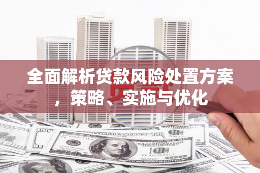 常宁全面解析贷款风险处置方案，策略、实施与优化