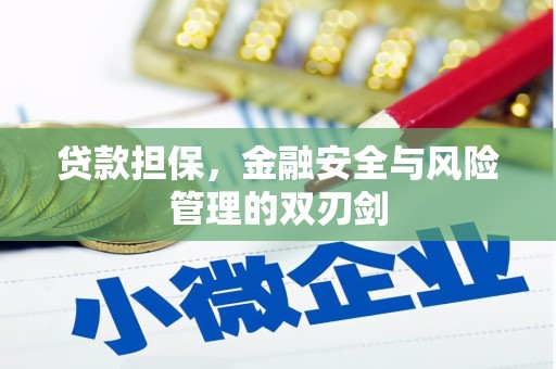 常宁贷款担保，金融安全与风险管理的双刃剑