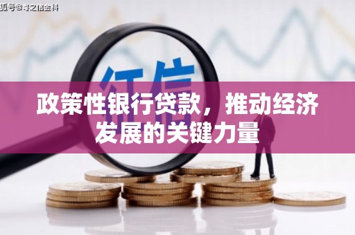 常宁政策性银行贷款，推动经济发展的关键力量