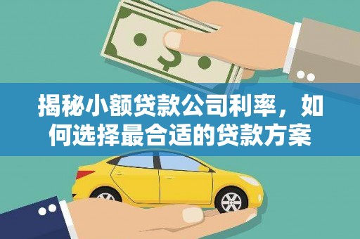 常宁揭秘小额贷款公司利率，如何选择最合适的贷款方案
