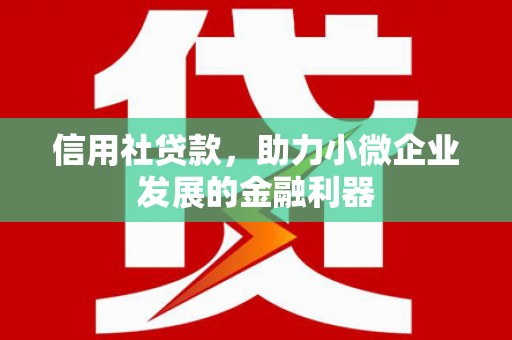 常宁信用社贷款，助力小微企业发展的金融利器