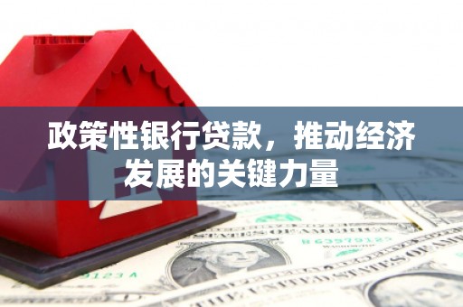 常宁政策性银行贷款，推动经济发展的关键力量