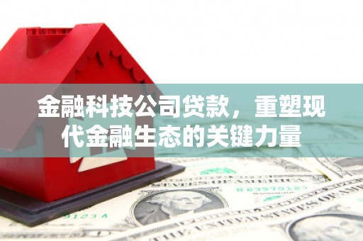 常宁金融科技公司贷款，重塑现代金融生态的关键力量