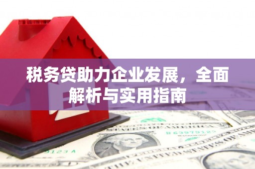 常宁税务贷助力企业发展，全面解析与实用指南