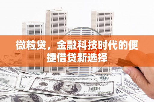 常宁微粒贷，金融科技时代的便捷借贷新选择