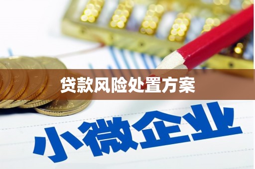 常宁贷款风险处置方案