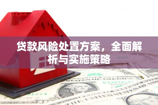 常宁贷款风险处置方案，全面解析与实施策略
